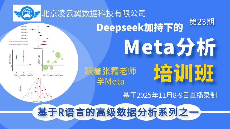 Meta分析理论与实战-202511